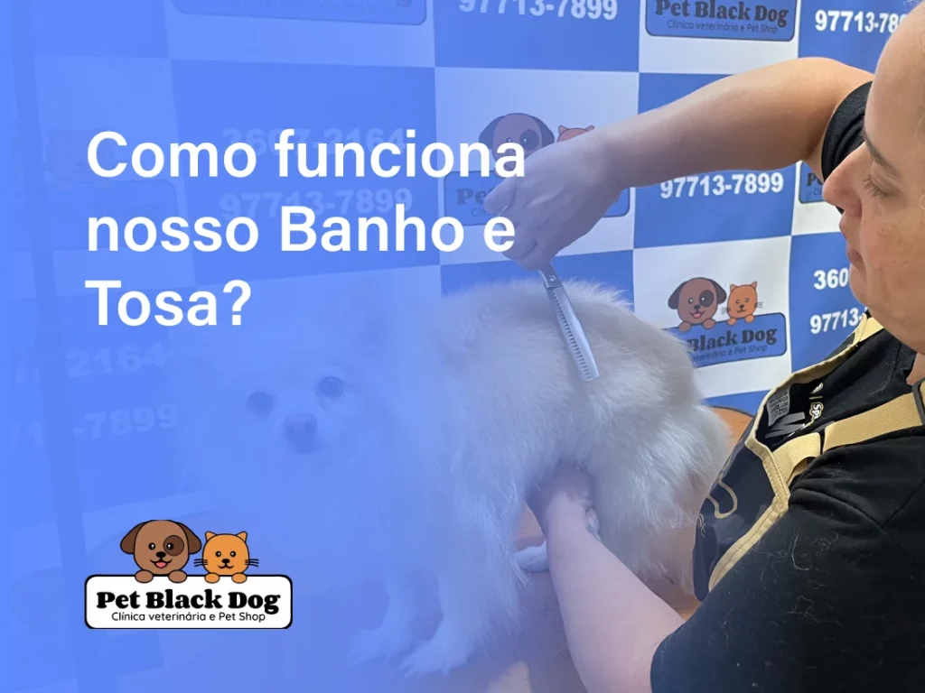 banho e tosa