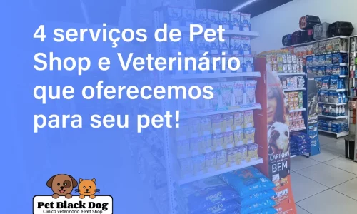 4 serviços de Pet Shop e Veterinário que oferecemos para seu pet!