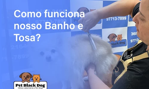 banho e tosa