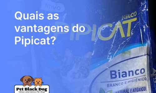 Quais as vantagens do Pipicat_ (1)