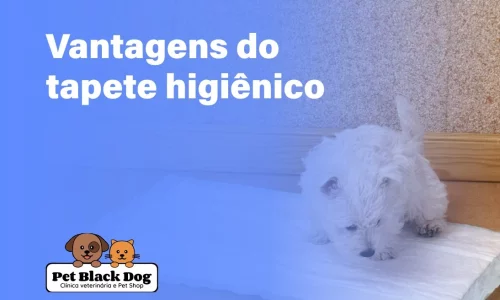 vantagens-do-tapete-higiênico